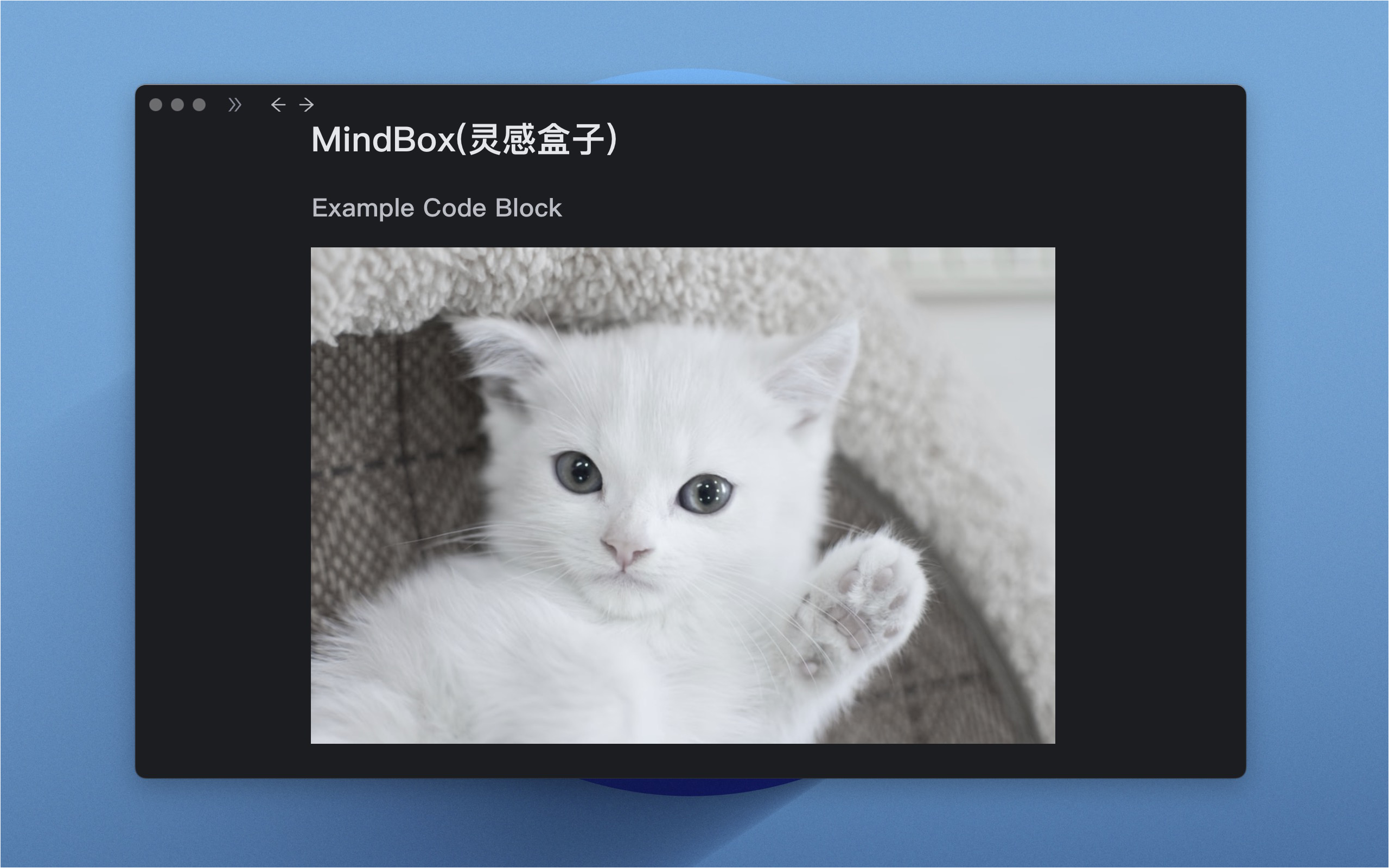 Mindbox (Inspirationsbox) media 4
