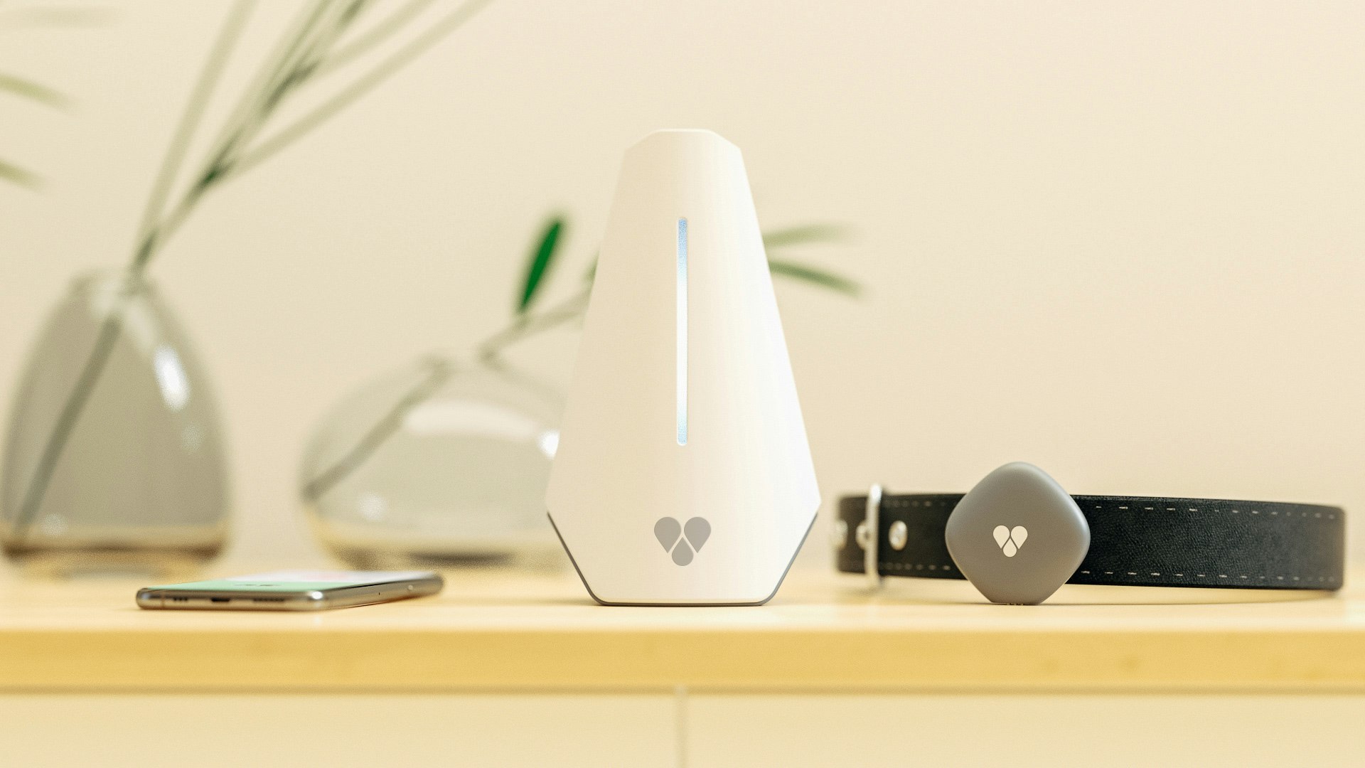 Findster Home gallery image