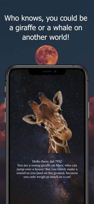 SpacerApp gallery image