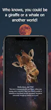 SpacerApp gallery image
