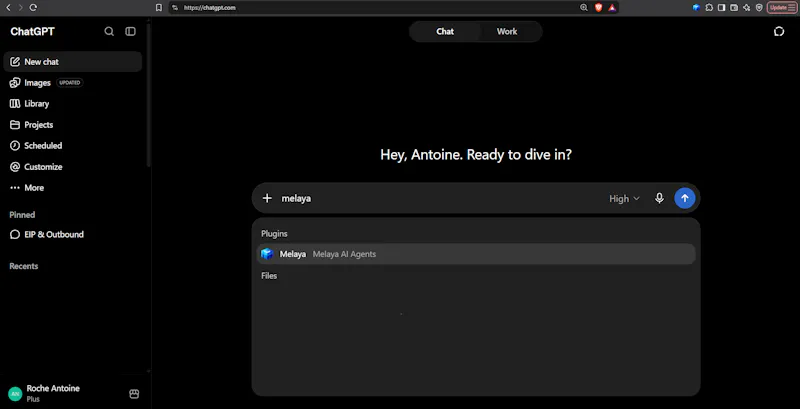 Melaya MCP Server screenshot 6