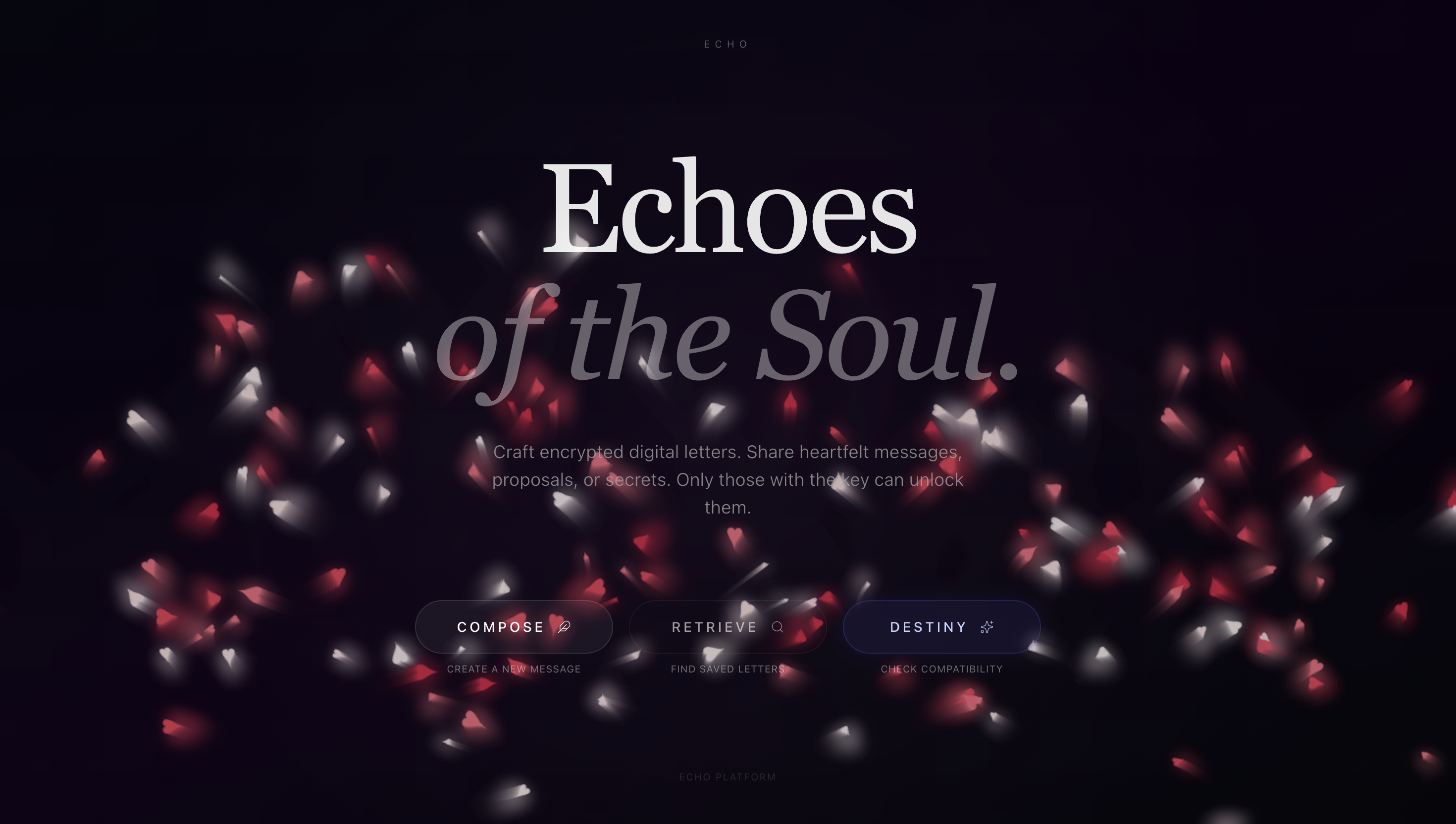 Echo - Screenshot 2 showing product features and functionality