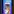 Wooper