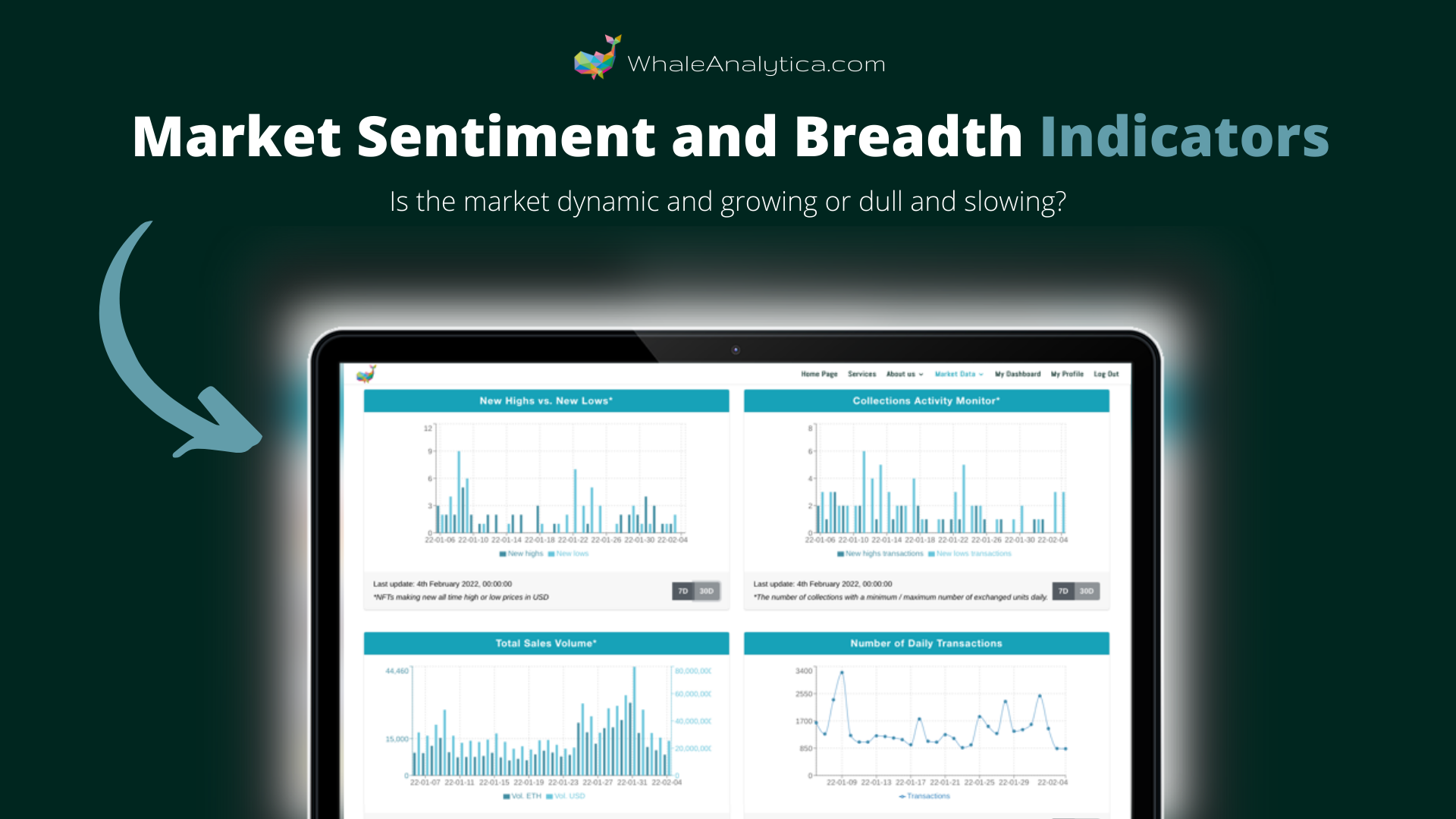 Whale Analytica gallery image