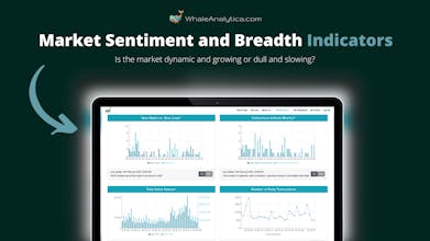 Whale Analytica gallery image