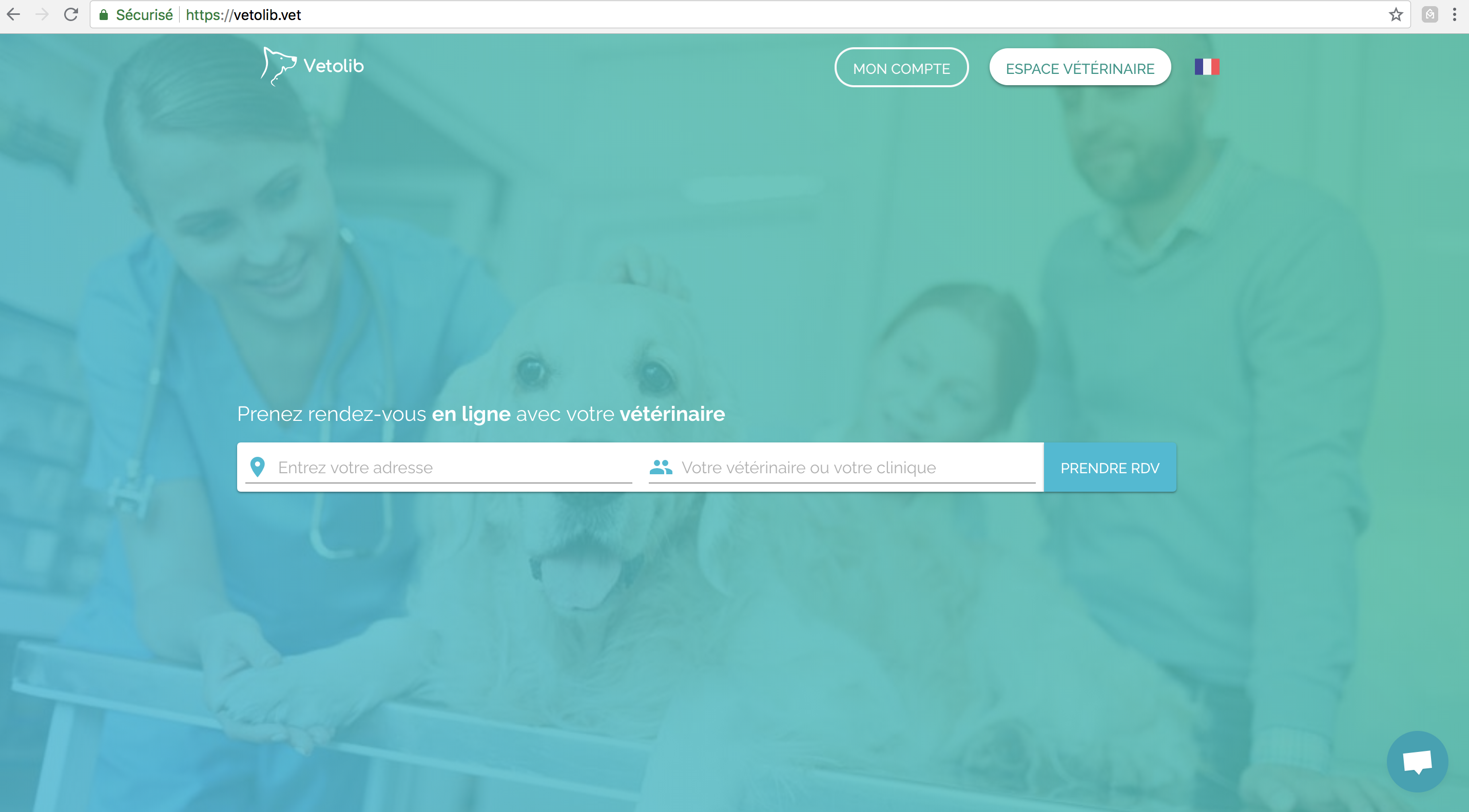 Vetolib gallery image