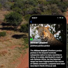 Well Spotted! iOS app gallery image