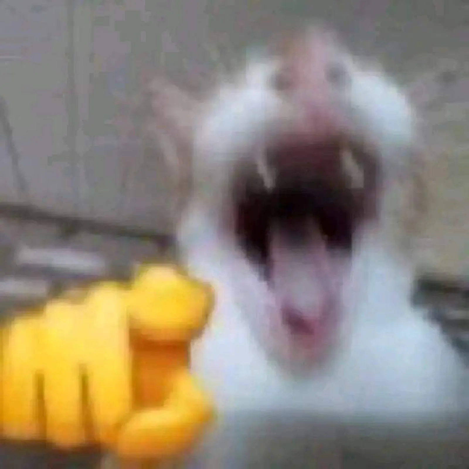 jsjjs screenshot 1