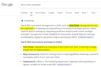 The AI Overview Playbook gallery image
