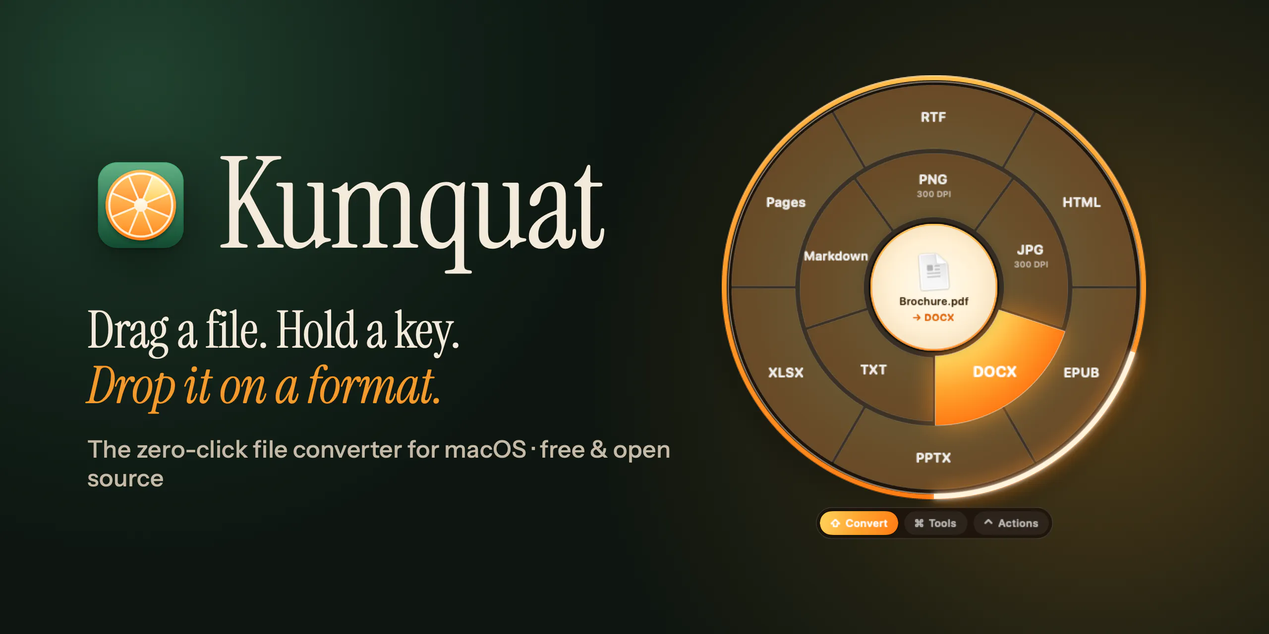 kumquat gallery image
