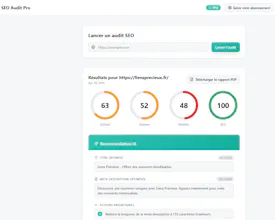 Audit SEO Pro gallery image