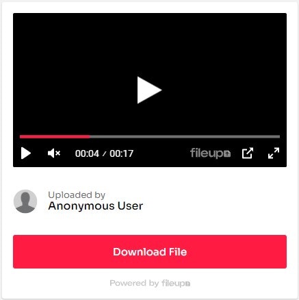 FileUp gallery image