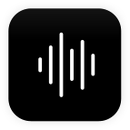 VoiceX
