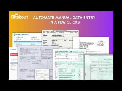 Bitskout gallery image