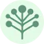smind