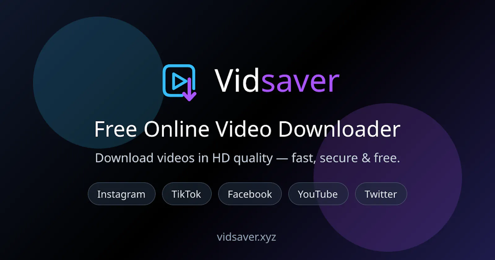 VidSaver screenshot 2