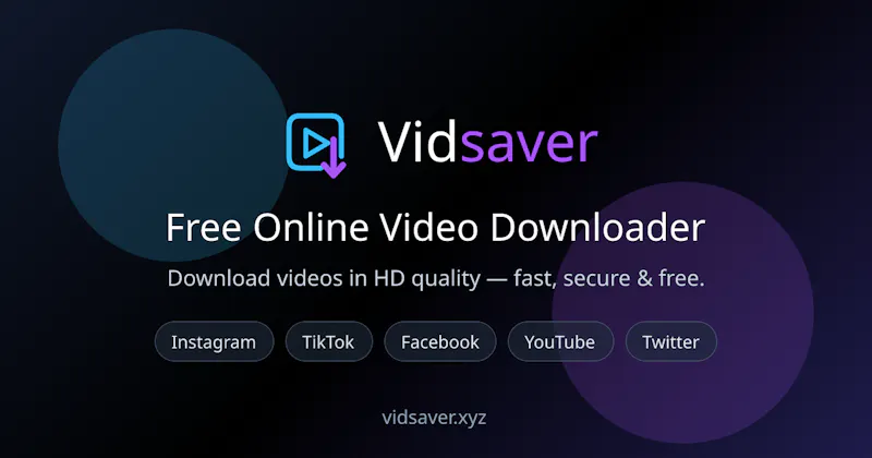 VidSaver screenshot 2