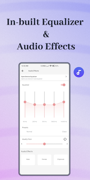 ViaMusic offline playback & backup music gallery image