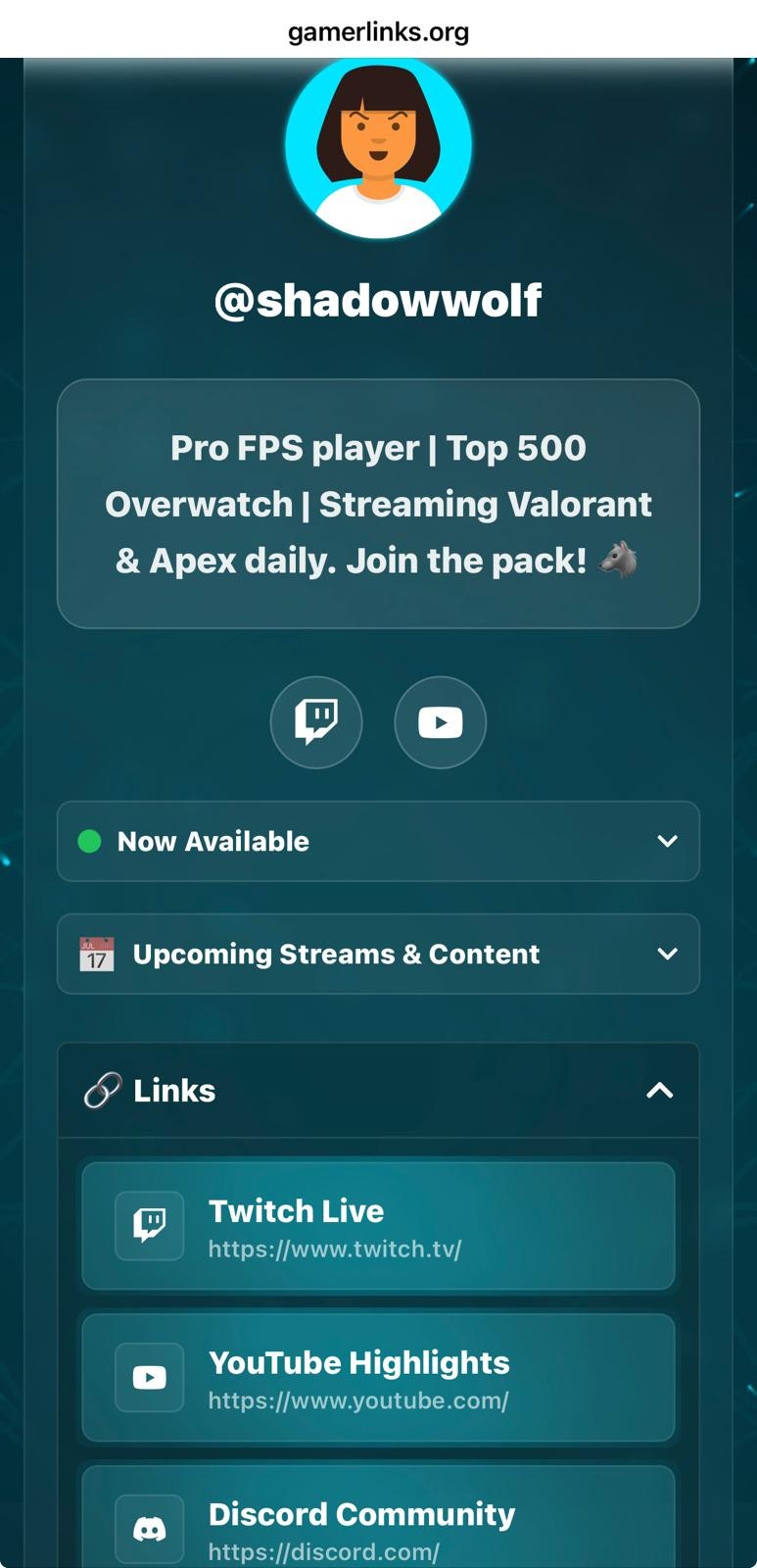 GamerLinks gallery image