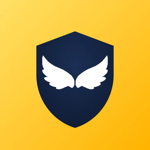 Fraud Angel