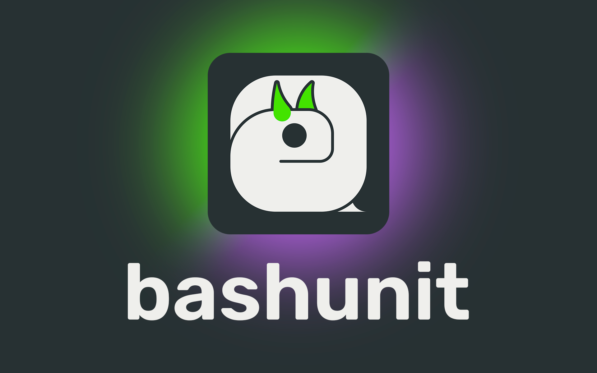 bashunit gallery image