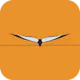 BorderBird