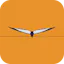 BorderBird