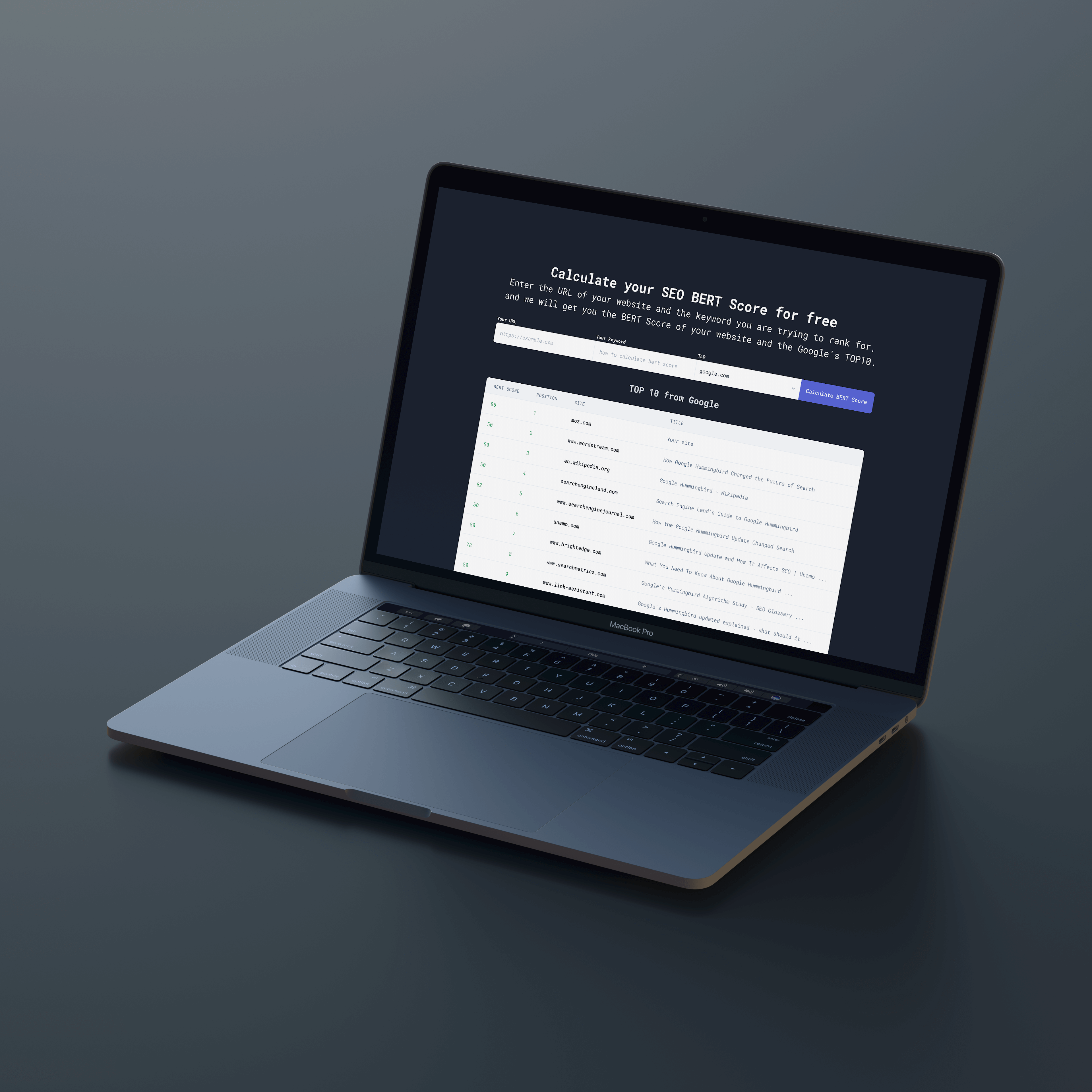 SEO BERT Calculator gallery image