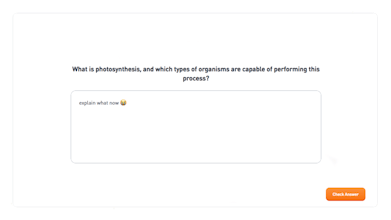 Hootly gallery image