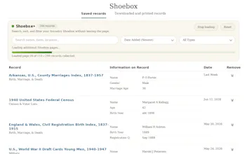 Shoebox Plus Organizer gallery image