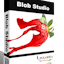 TwistedBrush Pro Studio