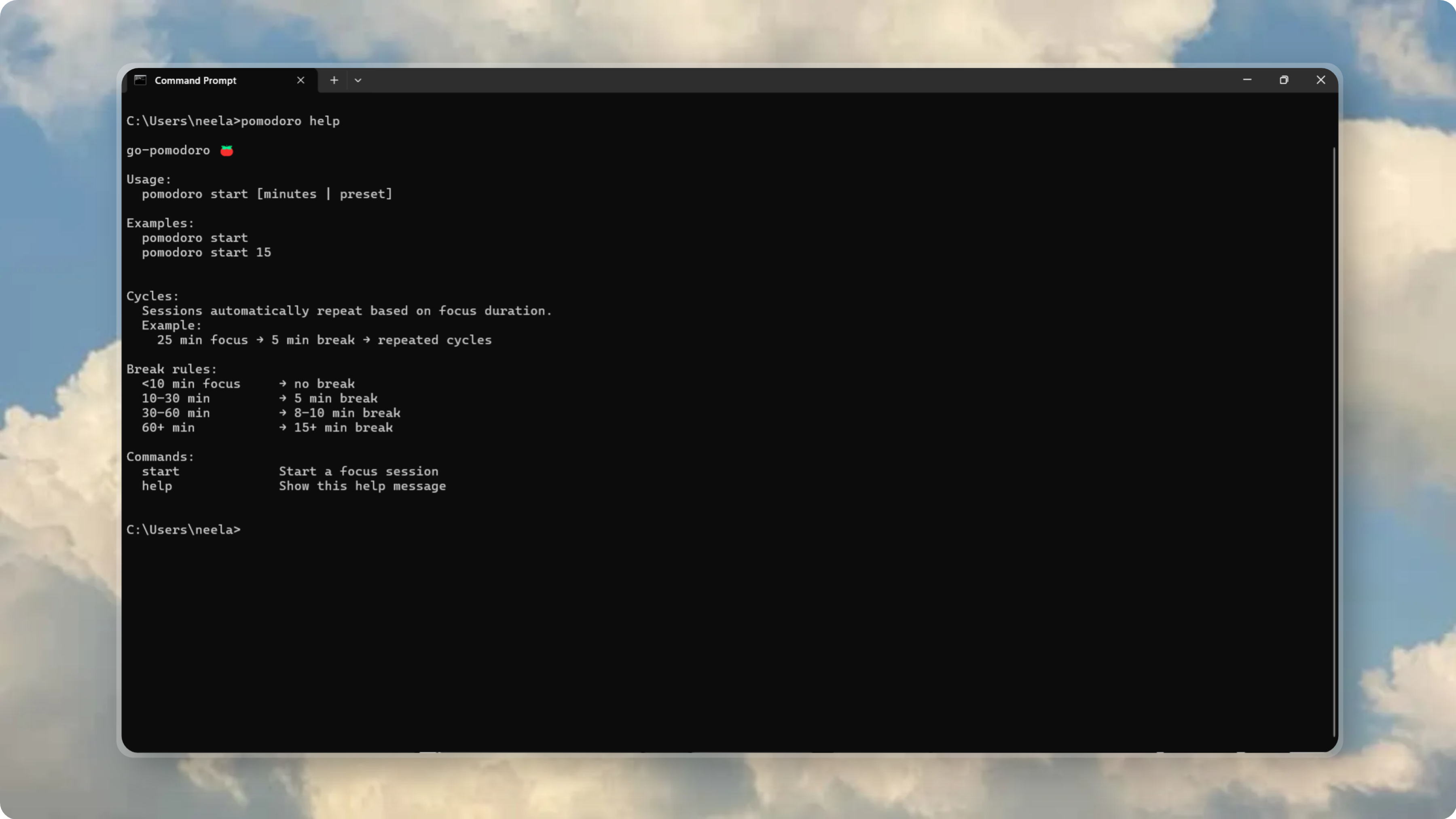 Go Pomodoro CLI gallery image