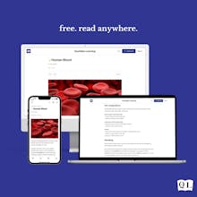 Quotidian Daily gallery image