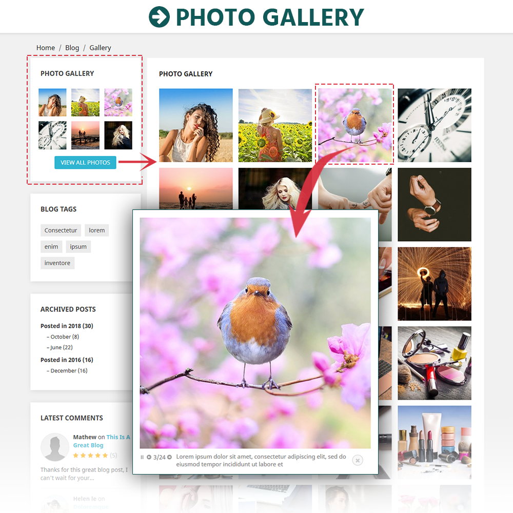  BLOG – All In 1 PrestaShop Blog Module gallery image