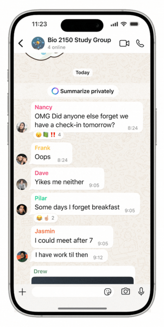 WhatsApp Message Summaries media 4