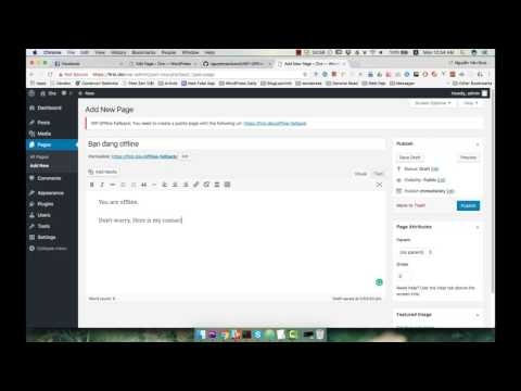 WP Offline Fallback gallery image