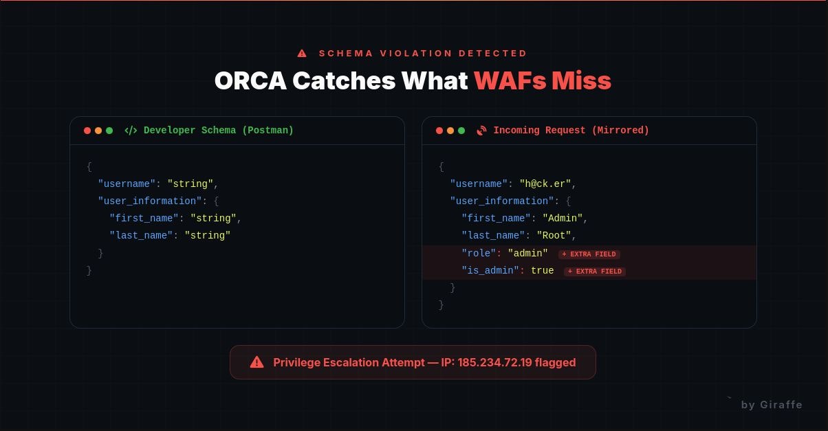 ORCA gallery image