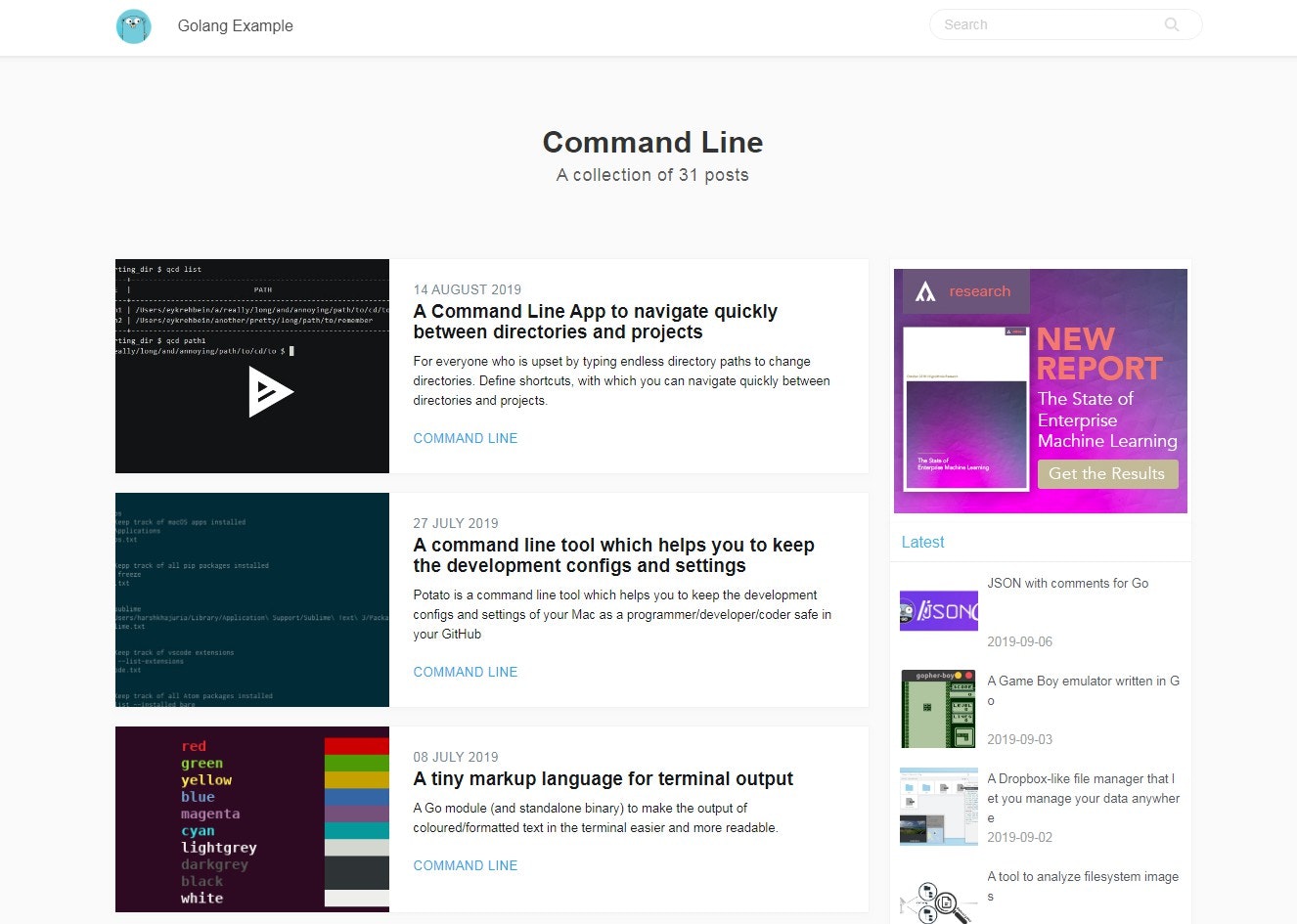 Golang Example gallery image
