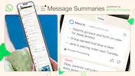 WhatsApp Message Summaries
