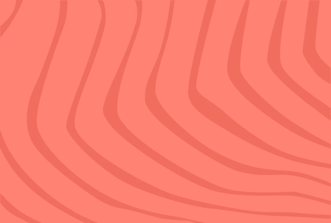 Muhammad Salmon cover