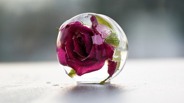 Polar Ice Ball 2.0 gallery image