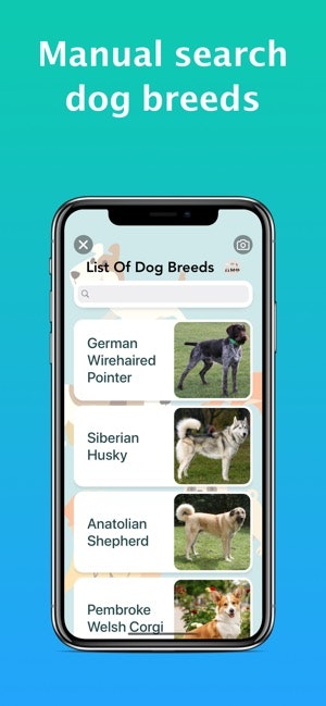 Dog Identifier - Dog Scanner gallery image
