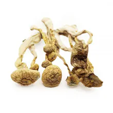 Order Magic Mushrooms Online gallery image