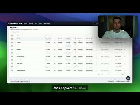 SEOPulser gallery image