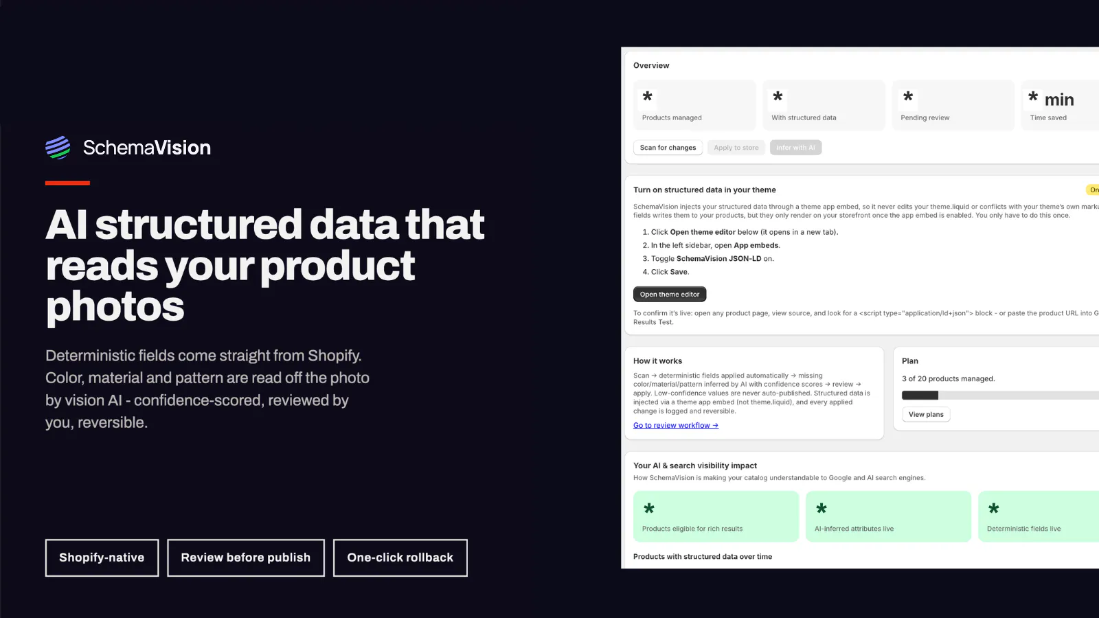 SchemaVision: AI search data in Shopify screenshot 1