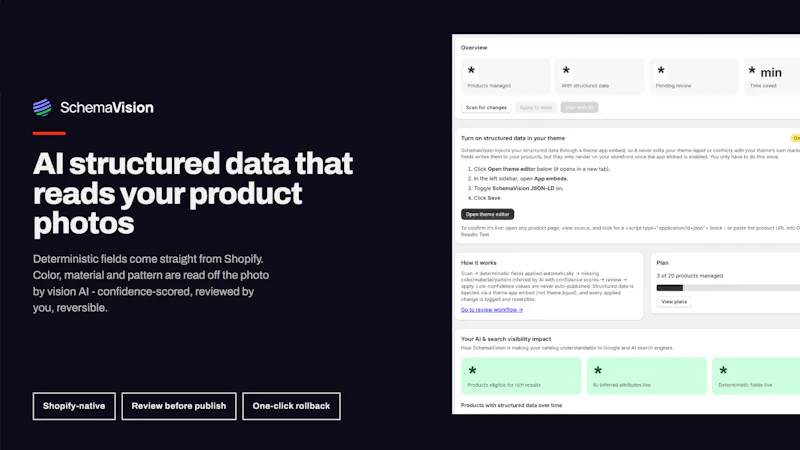SchemaVision: AI search data in Shopify screenshot 1