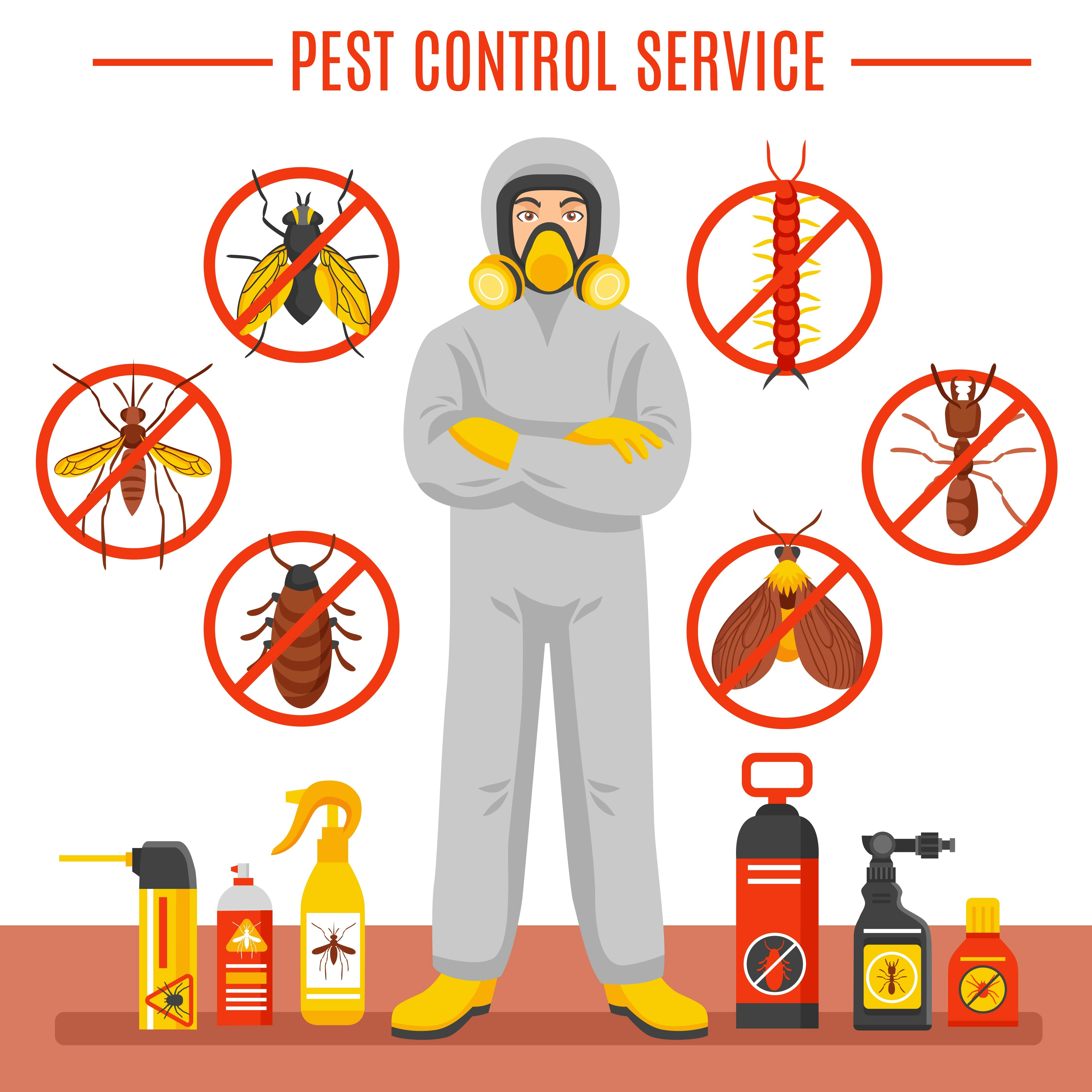 Pest Control Services gallery image