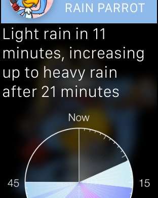 Rain Parrot gallery image