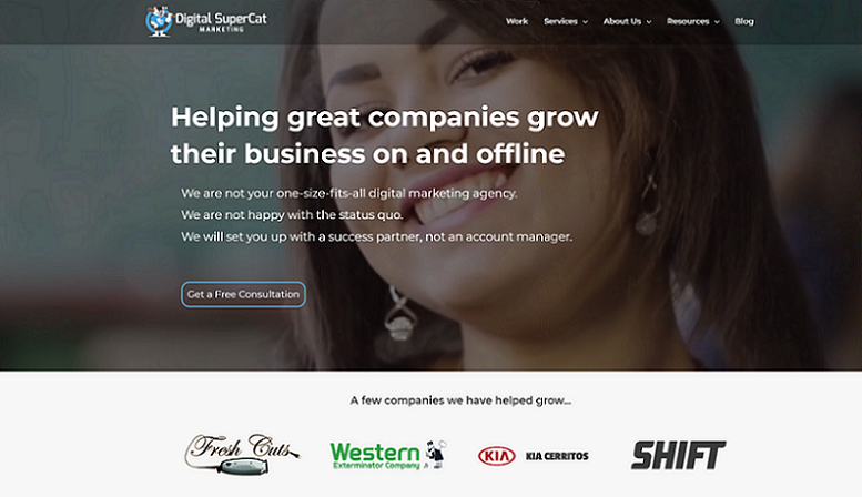 Digital SuperCat gallery image