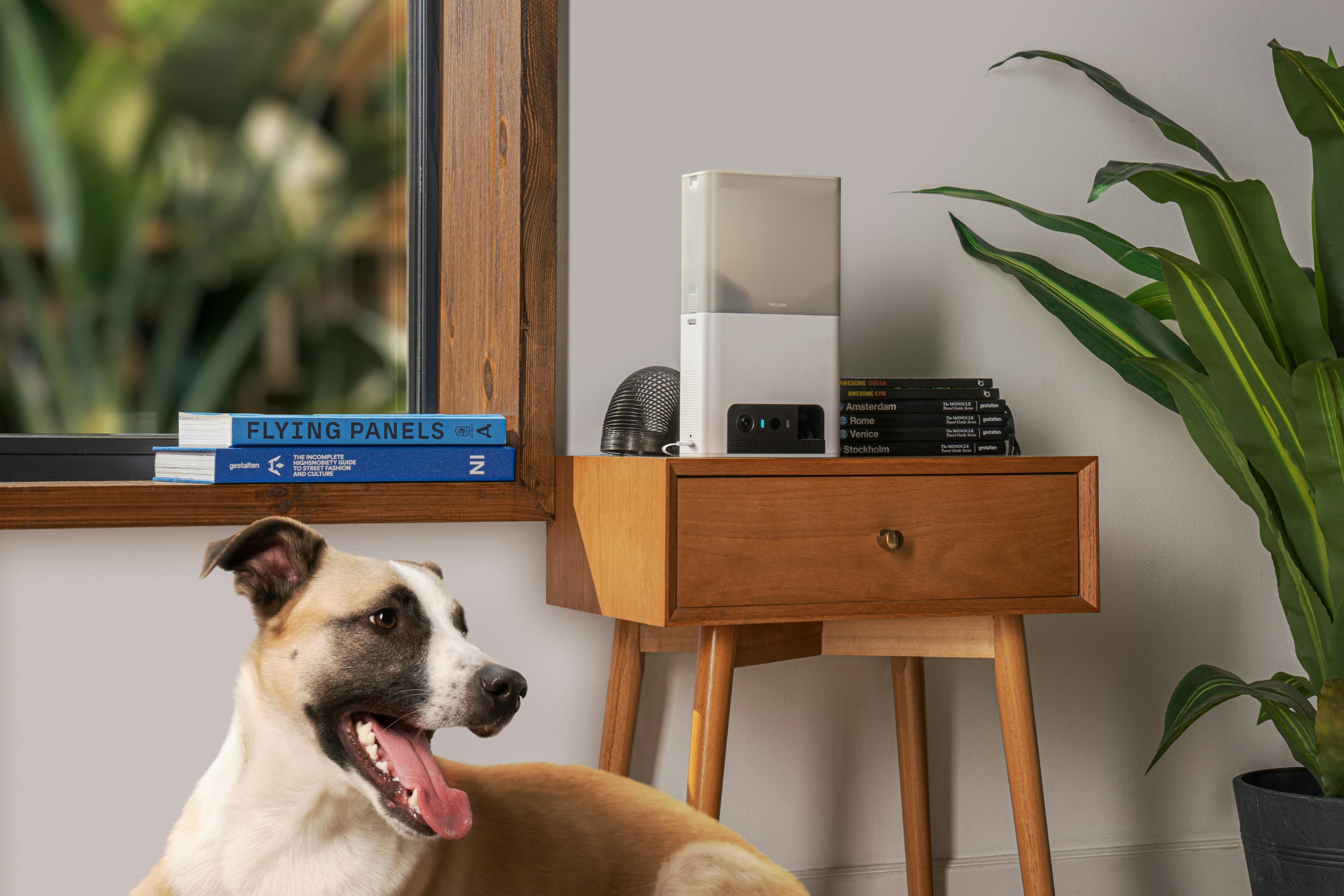 Petcube Bites 2 Lite gallery image